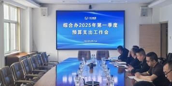 聯(lián)盛公司綜合辦召開(kāi)2025年第一季度預(yù)算支出工作會(huì)